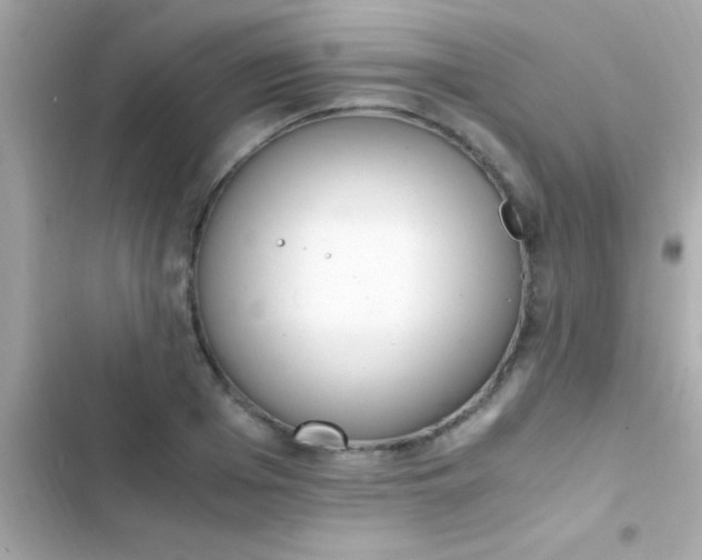 X0000103330985200809192200