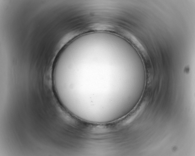 X0000103330986200809192200