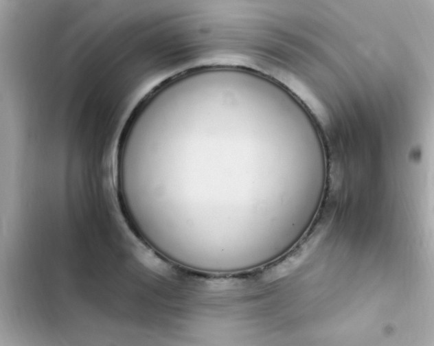 X0000103330988200809192200