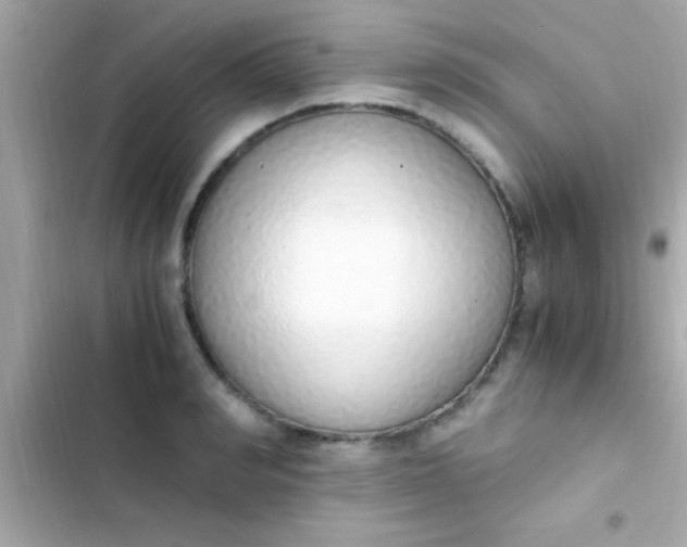 X0000103330990200809192200