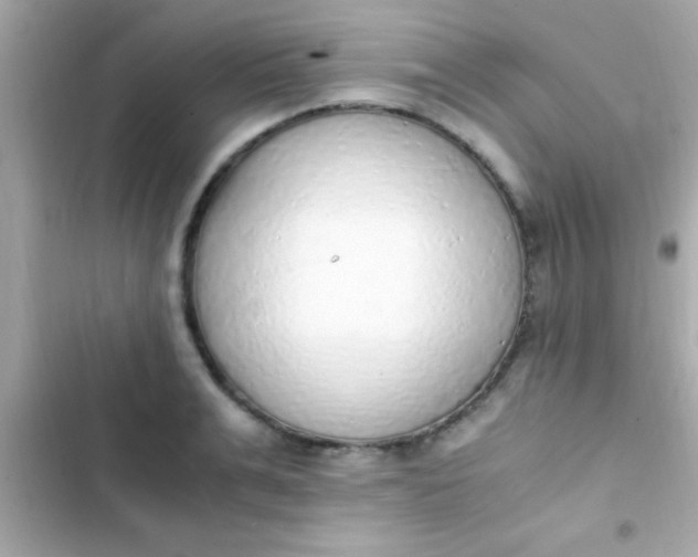 X0000103330991200809192200