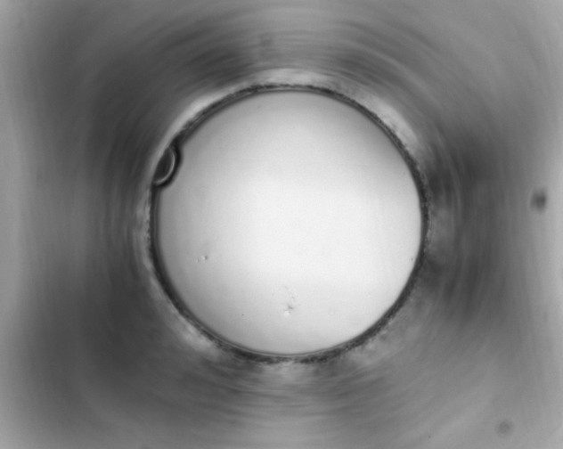 X0000103330992200809192200