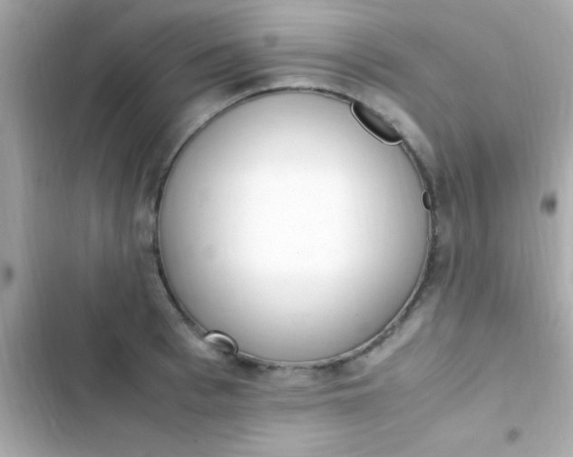 X0000103330993200809192200