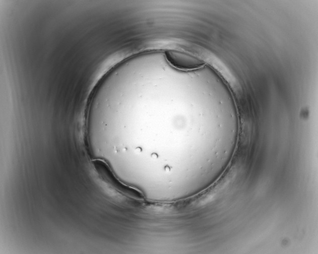 X0000103330994200809192200