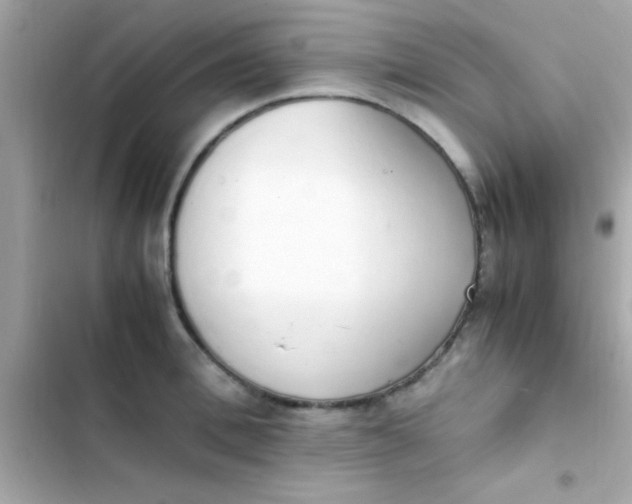 X0000103330996200809192200