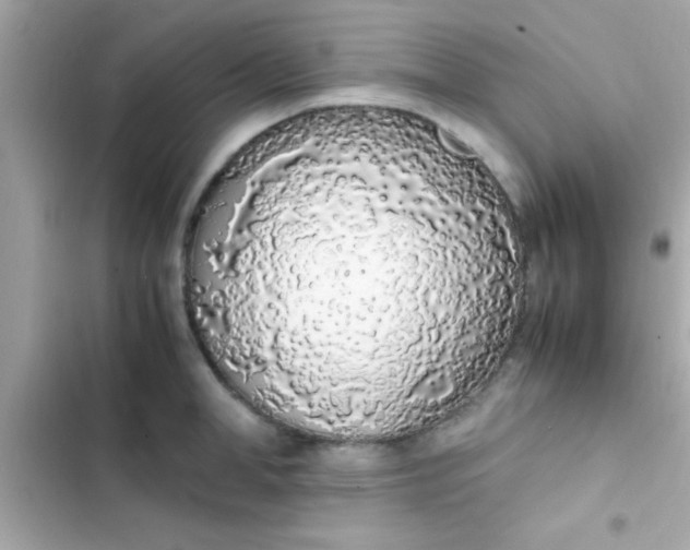 X0000103330998200809192200