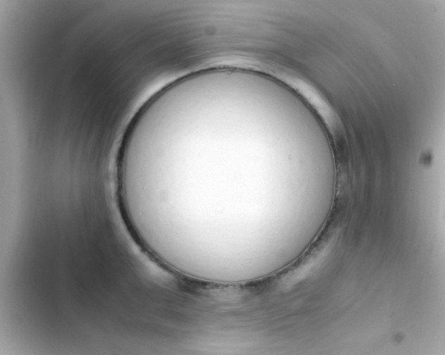 X0000103330999200809192200