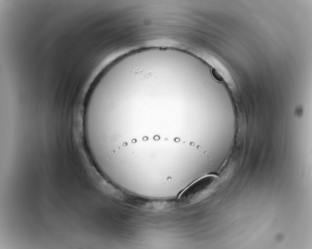 X0000103331000200809192200