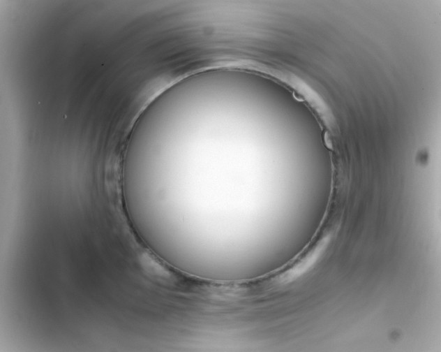 X0000103331001200809192200