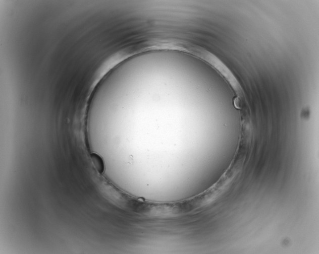 X0000103331002200809192200