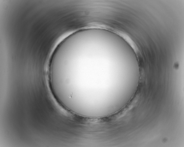 X0000103331003200809192200