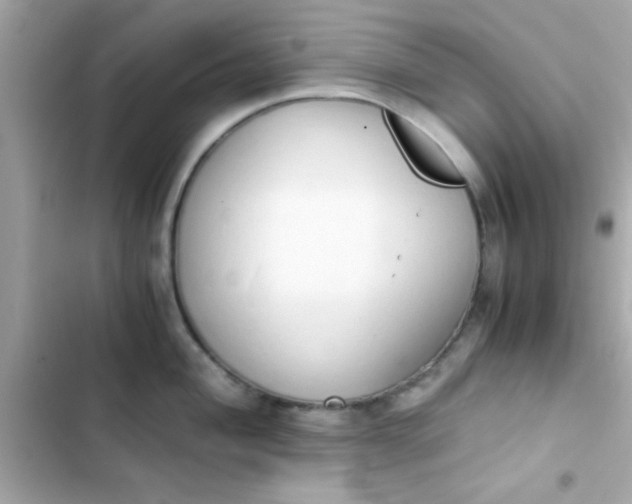 X0000103331004200809192200