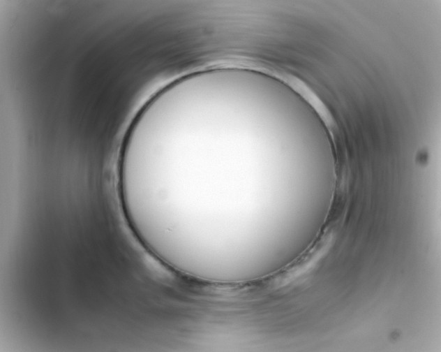 X0000103331005200809192200