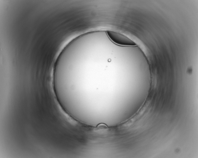 X0000103331006200809192200