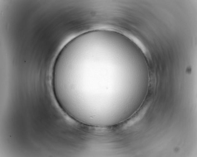 X0000103331007200809192200