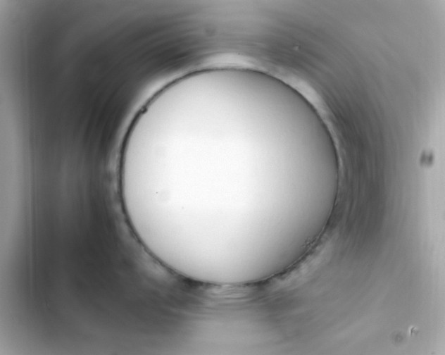 X0000103331008200809192200