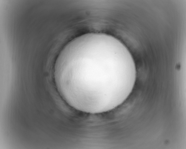 X0000103331009200809192159