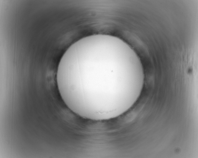 X0000103331010200809192159