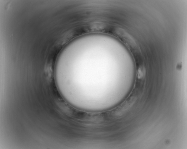 X0000103331011200809192159