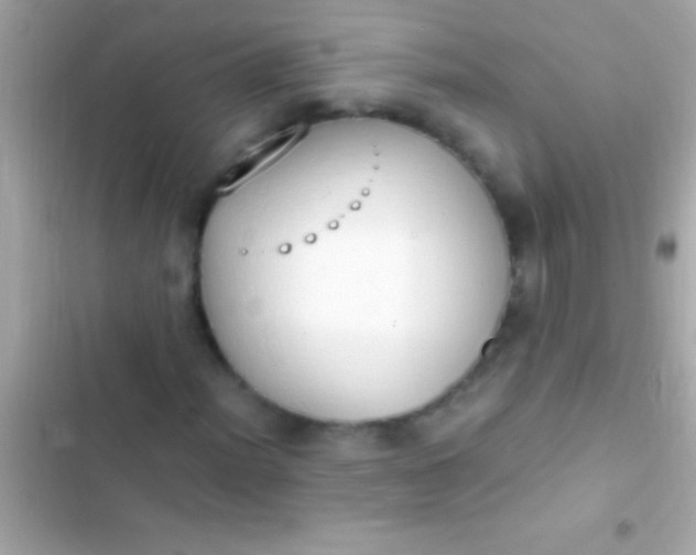 X0000103331012200809192159