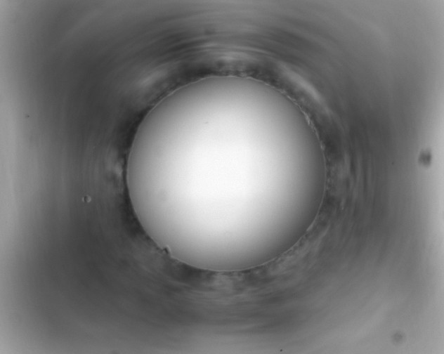 X0000103331013200809192159