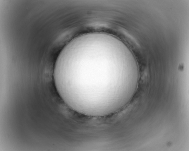 X0000103331014200809192159