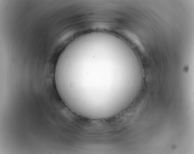 X0000103331015200809192159