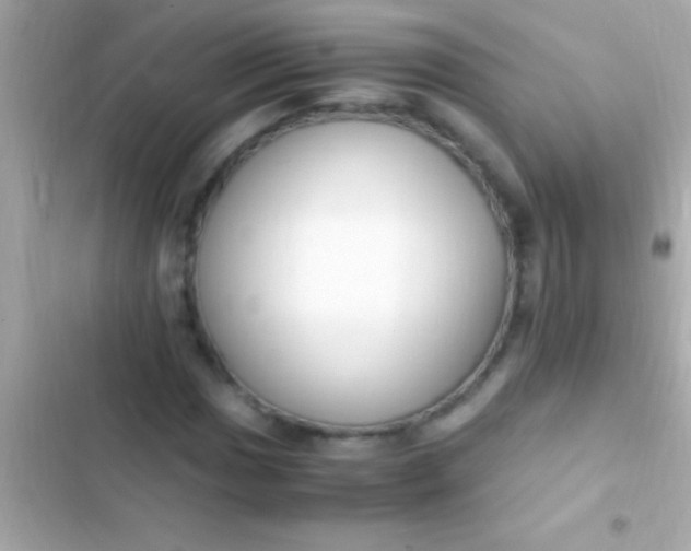 X0000103331017200809192159