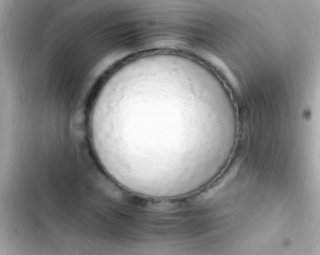 X0000103331019200809192159