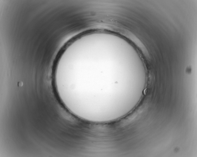 X0000103331020200809192159