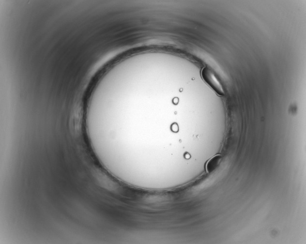 X0000103331021200809192159