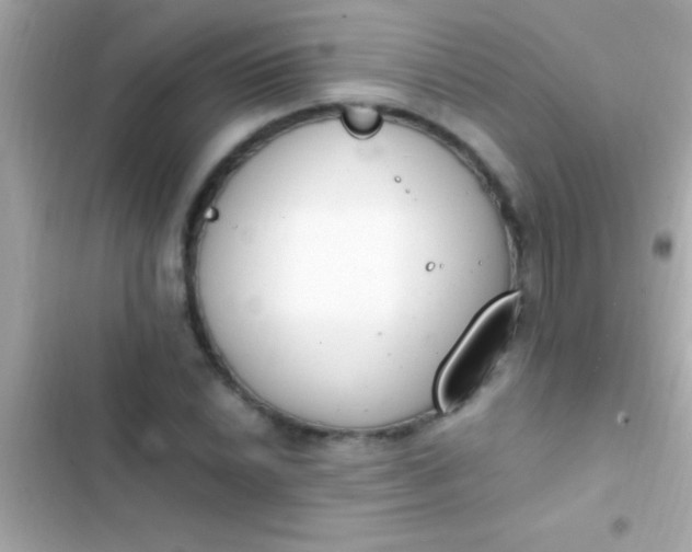 X0000103331022200809192159