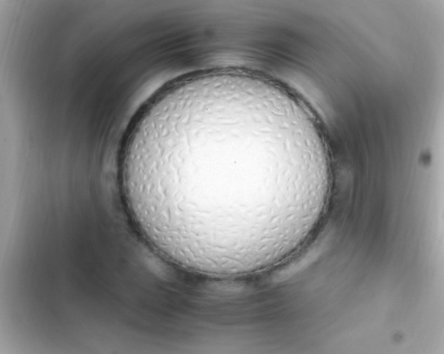 X0000103331023200809192159