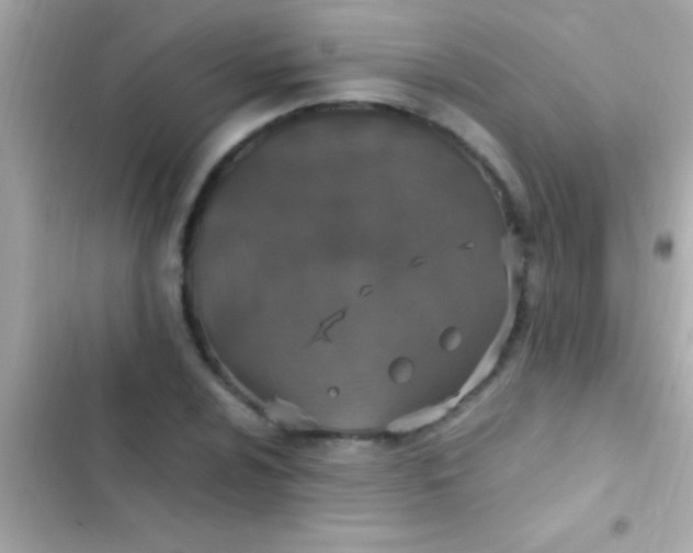 X0000103331024200809192159