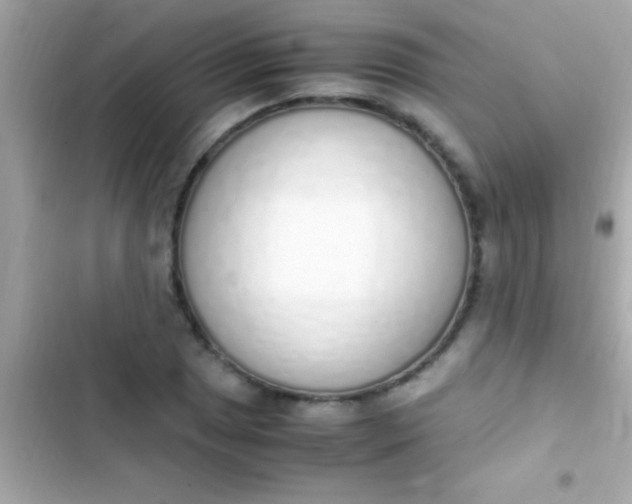 X0000103331025200809192159