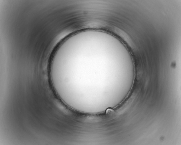 X0000103331026200809192159