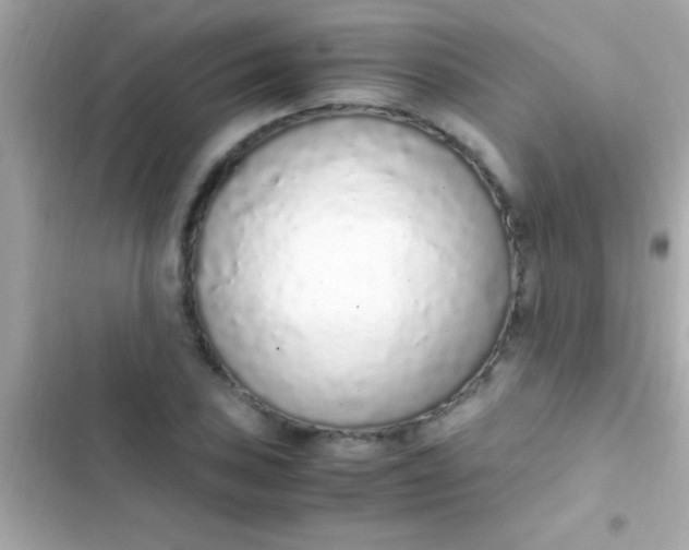 X0000103331027200809192159