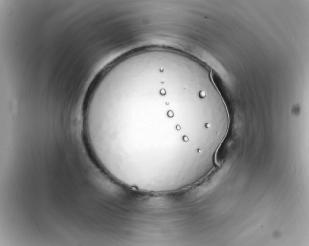 X0000103331028200809192159