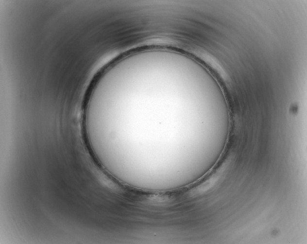 X0000103331029200809192159