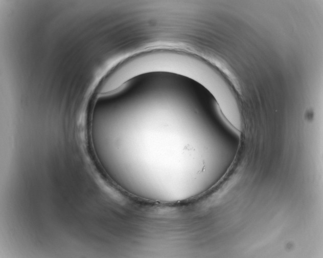 X0000103331030200809192159