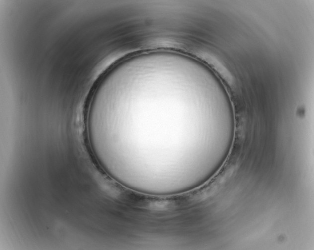 X0000103331031200809192159