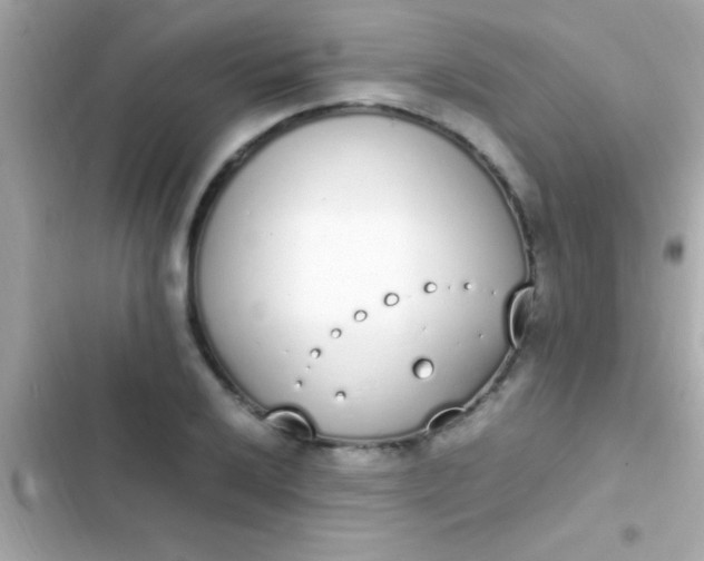 X0000103331032200809192159