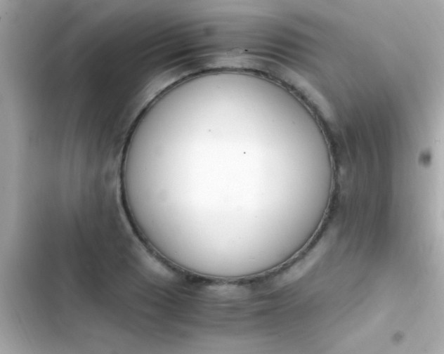 X0000103331033200809192159