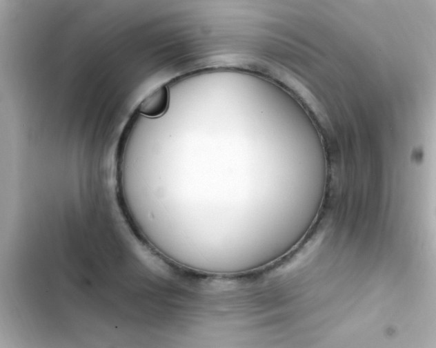 X0000103331034200809192159