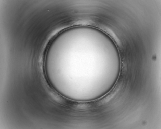 X0000103331035200809192159