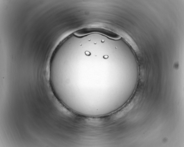 X0000103331036200809192159