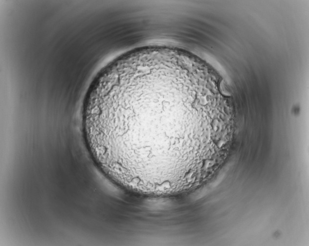 X0000103331037200809192159