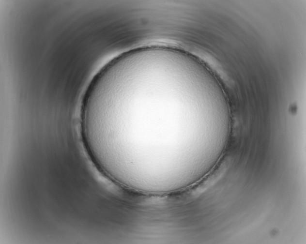 X0000103331038200809192200