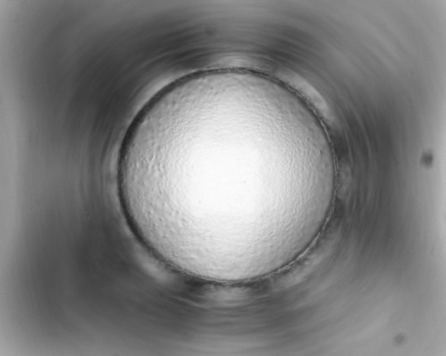 X0000103331039200809192200