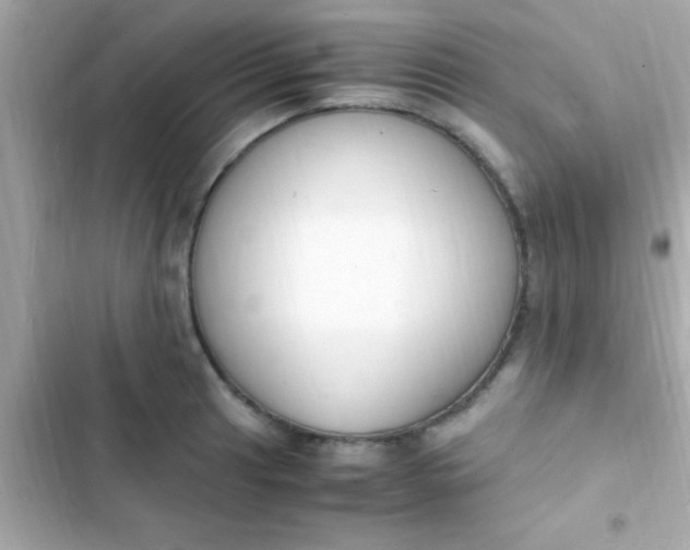 X0000103331041200809192200